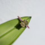The Chroma Yellow Sapphire Cocktail Ring in 18K Rose Gold
